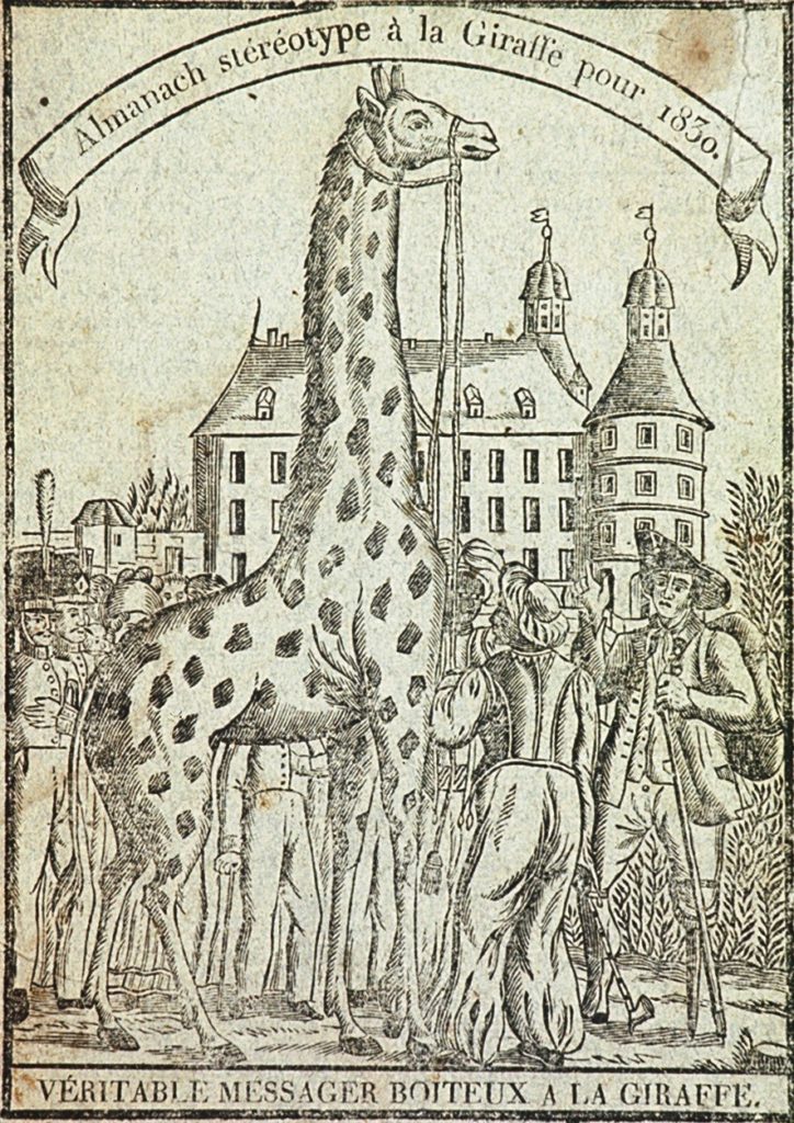 Giraffomania